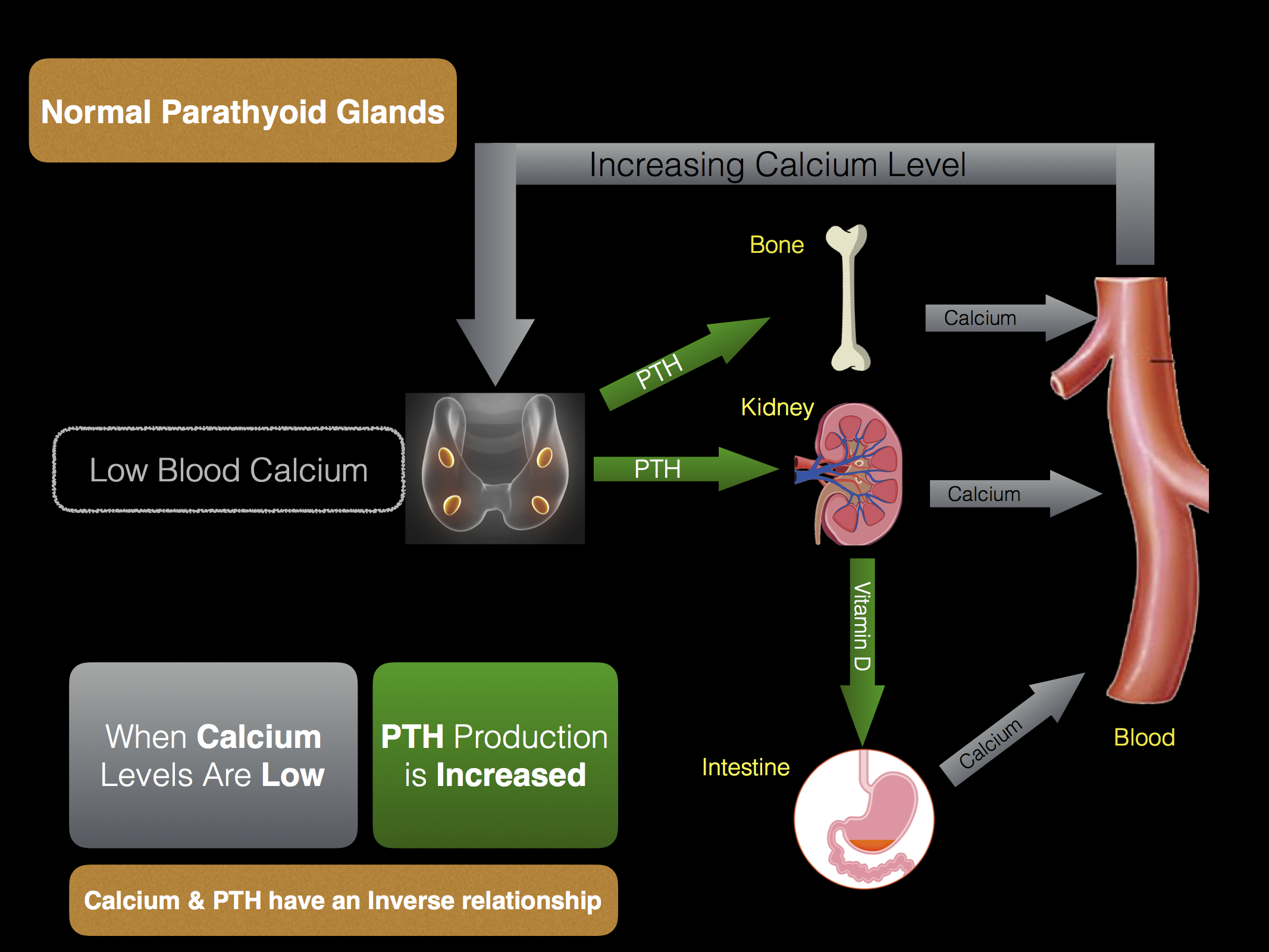 What are the signs and symptoms of parathyroid disease?