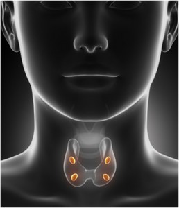 Illustration of a human neck showing the thyroid gland with highlighted nodules.