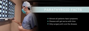 Surgeon examining x-ray images with text about parathyroid facts on the right side.