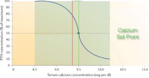 Graph showing the relationship between serum calcium concentration and PTH secretion, indicating the calcium set point.