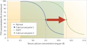 Graph showing the relationship between parathyroid hormone (PTH) concentration and serum calcium concentration with areas indicating normal and hyperparathyroidism conditions.