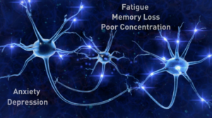 Symptoms of Parathryoid Disease - Dr Larian