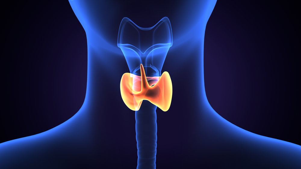 Is There a Connection Between Hyperparathyroidism and Cancer?