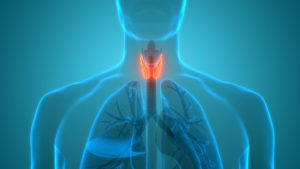 Illustration of human anatomy highlighting the thyroid gland in the neck.