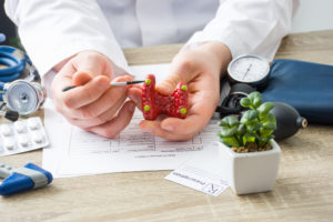 Doctor explaining thyroid gland function using a model on a desk with medical equipment and patient information sheet.