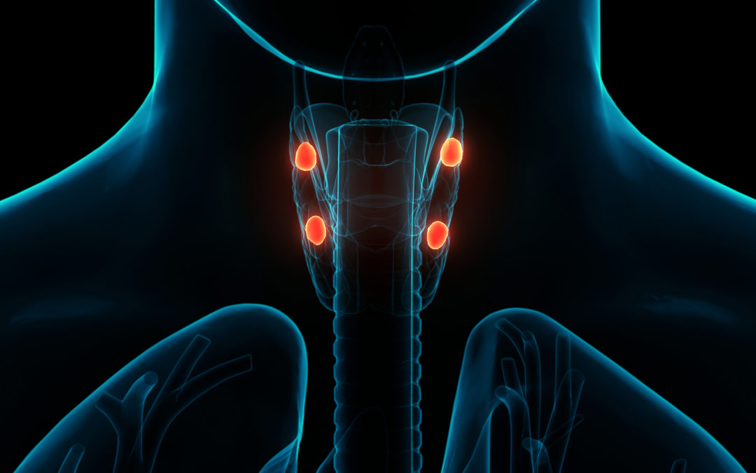 Tertiary Hyperparathyroidism