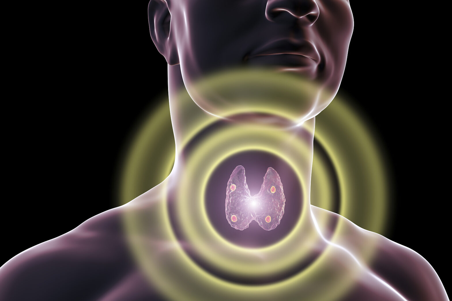 Conceptual image of a person with glowing thyroid or parathyroid glands indicating a focus on throat or endocrine health.